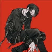 Levi ackerman 