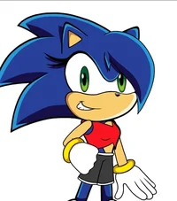 Sonica The Hedgehog 