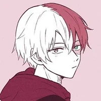 Shoto Todoroki