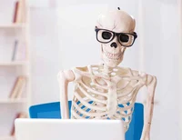 Intelligent Skeleton