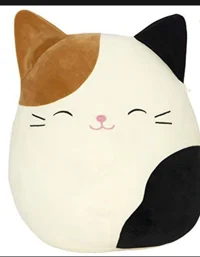 Cam cat Squishmellow