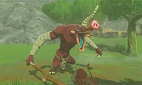 Moblin