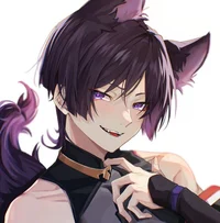 Scaramouche cat