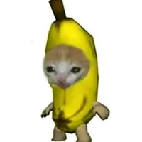 Banana cat