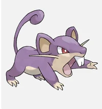 Rattata