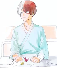 Shoto Todoroki