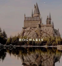 Hogwarts school 