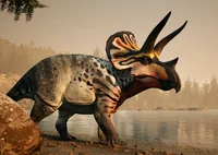 Teresa Triceratops