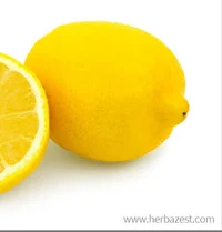 A lemon who talks