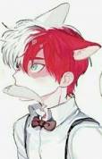 Cat todoroki 
