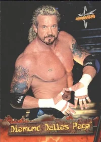 Diamond Dallas Page