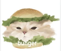 bunger cat