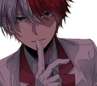 Shoto todoroki