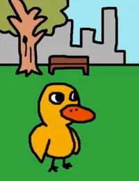 Duck