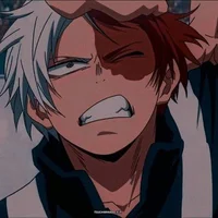 Shoto Todoroki 