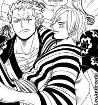 Zoro and Sanji