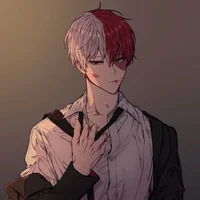 Todoroki Shoto 
