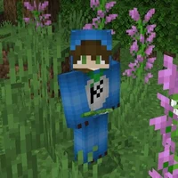 Carrera tortillaland