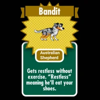 Bandit