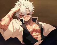 Sanemi Shinaguzawa