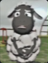 Wooly the sheep