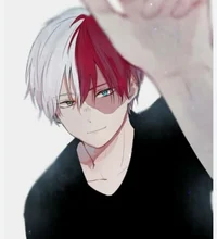 Novio todoroki 