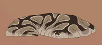 Snake Blob