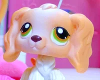 Genevieve Ryan - Dog