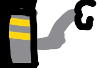 The forgotten spider