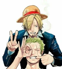 Zoro and sanji