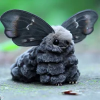 Pet Poodle Moth 