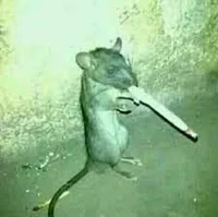 Cigarette mouse