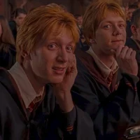Weasley twins
