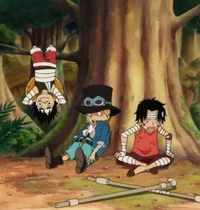 Ace Sabo and Luffy 