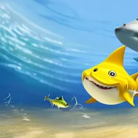 Baby shark