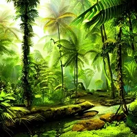 The Amazon rainfores