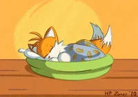 Tails  durmiendo