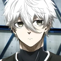 Roommate Nagi
