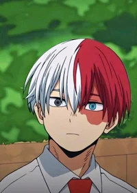 Todoroki 