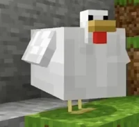 minecraft chicken