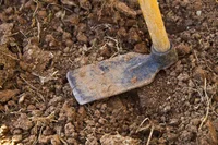 Dirty hoe