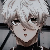 nagi seishiro