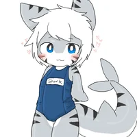 Tiger Shark female