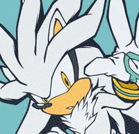 Silver The Hedgehog 