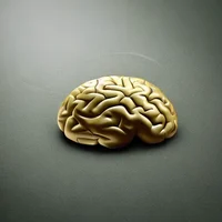 Smartassssssssssssss