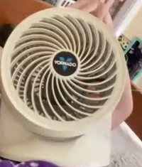 Fan