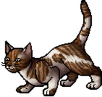 Beepaw -SkyClan-