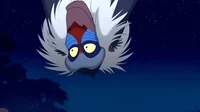 rafiki
