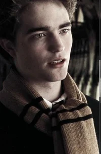 Cedric Diggory 