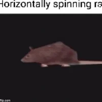HorizontallySpinRat